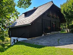 Beautiful Apartment Near ski Resort