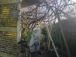 Charming Studio the Heart of the Forest