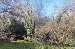 Charming Studio the Heart of the Forest