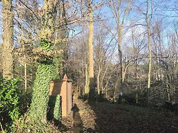 Charming Studio the Heart of the Forest