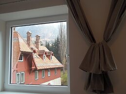 Alpine Retreat 2bed Apartment - Villa Wellspacher