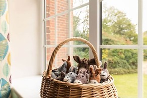 Host Stay Redwings Sanctuary Rooms