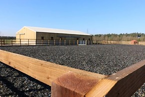 Host Stay Redwings Sanctuary Rooms