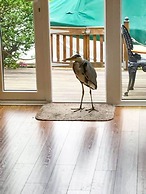 Host Stay Quayside Cottage