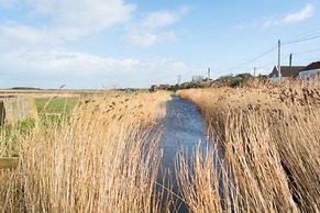 Host Stay Tystie Cottage