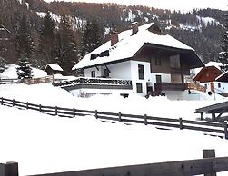 Apartment in Bad Kleinkirchheim Near Hiking