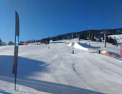 Amazing Apartment in Tyrol With Sauna