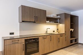 Spacious Apartment With Terrace