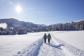 Spacious Apartment With Terrace