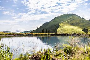 Spacious Apartment With Terrace