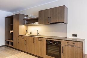 Spacious Apartment With Terrace