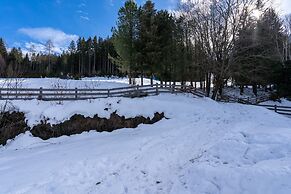 Apartment With Carinthian Mountain View