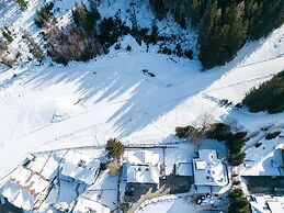 Apartment With Carinthian Mountain View
