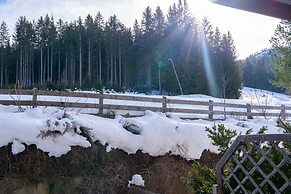 Apartment With Carinthian Mountain View