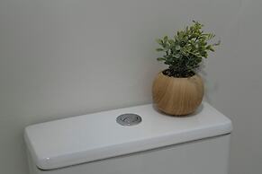 Oshun Plaza Castilla