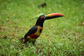 Jungle River Resort