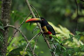 Jungle River Resort