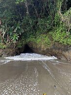 Jungle River Resort