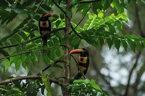 Jungle River Resort