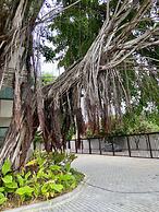 Flat a 120 metros das Piscinas Naturais