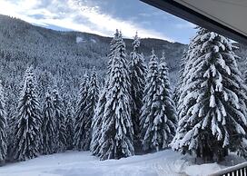 Luxury Apartment With Stunning Mountain View