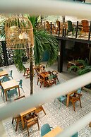 Wide Mouth Frog At Quepos