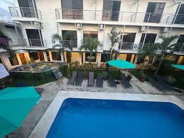 Wide Mouth Frog At Quepos