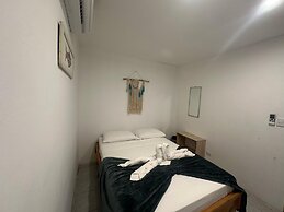 Wide Mouth Frog At Quepos