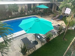 Wide Mouth Frog At Quepos