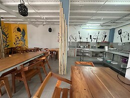 Wide Mouth Frog At Quepos