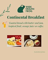 Wide Mouth Frog At Quepos