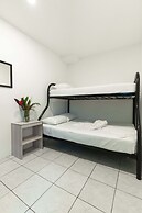 Wide Mouth Frog At Quepos