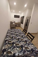 Wide Mouth Frog At Quepos