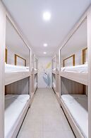 Wide Mouth Frog At Quepos