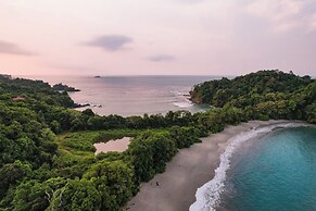 Wide Mouth Frog At Quepos