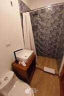 Wide Mouth Frog At Quepos