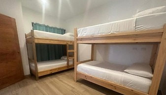 Wide Mouth Frog At Quepos