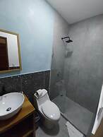 Wide Mouth Frog At Quepos