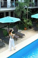 Wide Mouth Frog At Quepos