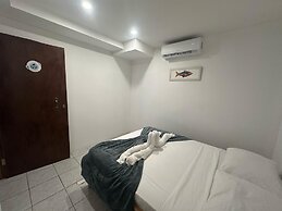 Wide Mouth Frog At Quepos