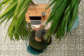 Wide Mouth Frog At Quepos
