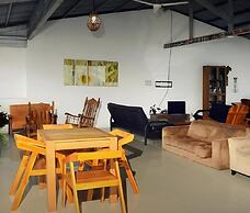 Wide Mouth Frog At Quepos