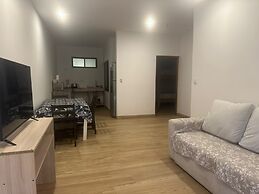 Wide Mouth Frog At Quepos