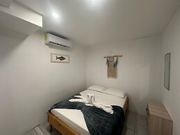 Wide Mouth Frog At Quepos