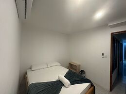 Wide Mouth Frog At Quepos