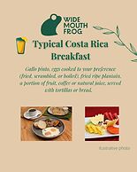 Wide Mouth Frog At Quepos