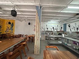 Wide Mouth Frog At Quepos