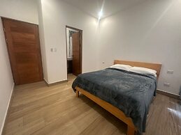 Wide Mouth Frog At Quepos