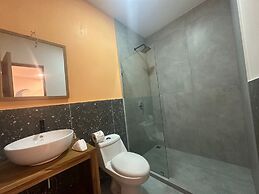 Wide Mouth Frog At Quepos