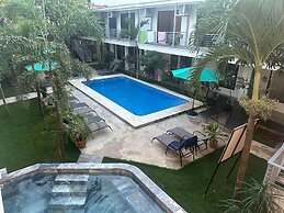 Wide Mouth Frog At Quepos